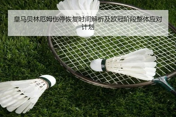皇马贝林厄姆伤停恢复时间解析及欧冠阶段整体应对计划
