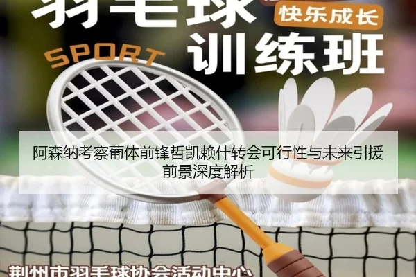 阿森纳考察葡体前锋哲凯赖什转会可行性与未来引援前景深度解析
