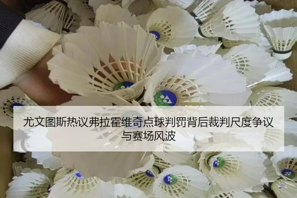 尤文图斯热议弗拉霍维奇点球判罚背后裁判尺度争议与赛场风波