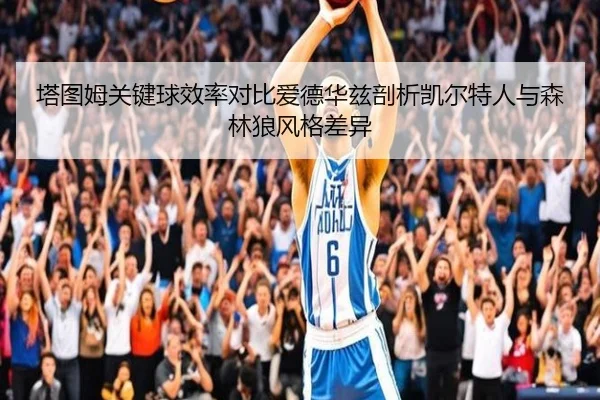 塔图姆关键球效率对比爱德华兹剖析凯尔特人与森林狼风格差异